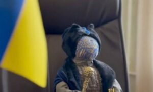 Лялька мотанка з Покрова