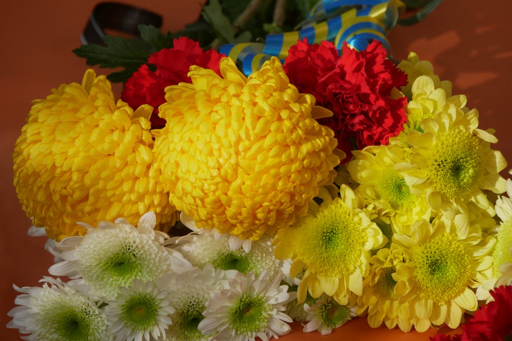 у Покрові сьогодні відкрили меморіальну дошку