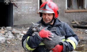 У Камянському 6