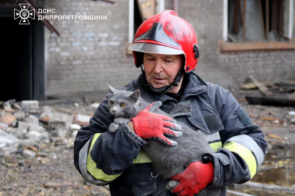 З-під завалів дістали тіло чоловіка і переляканого котика: у Кам'янському завершено рятувально-пошукові роботи на місці ворожого удару (фото) 1 У Камянському 6