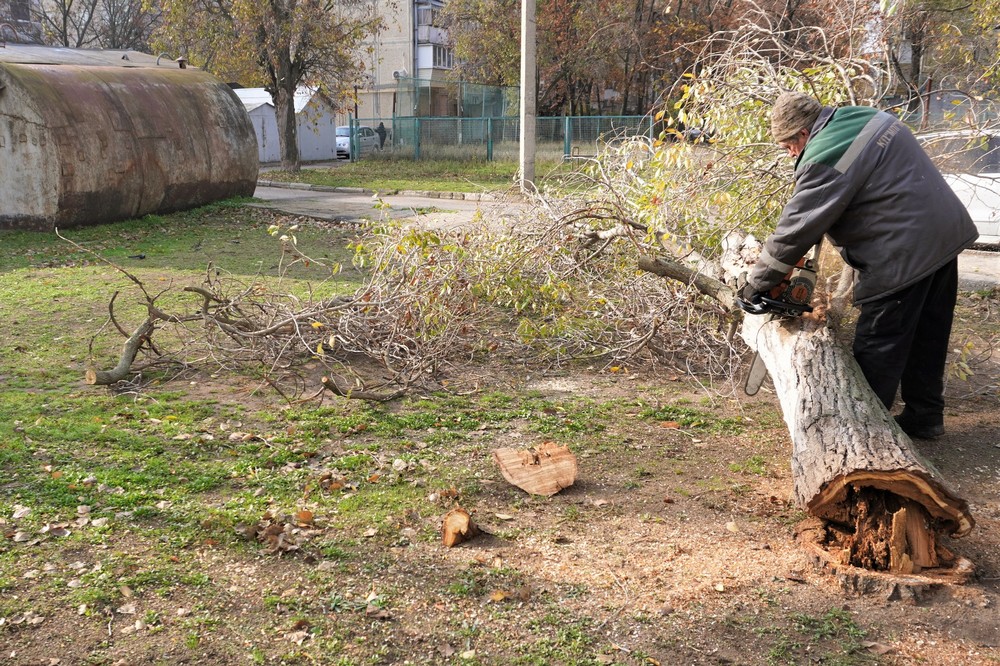 У Нікополі 15