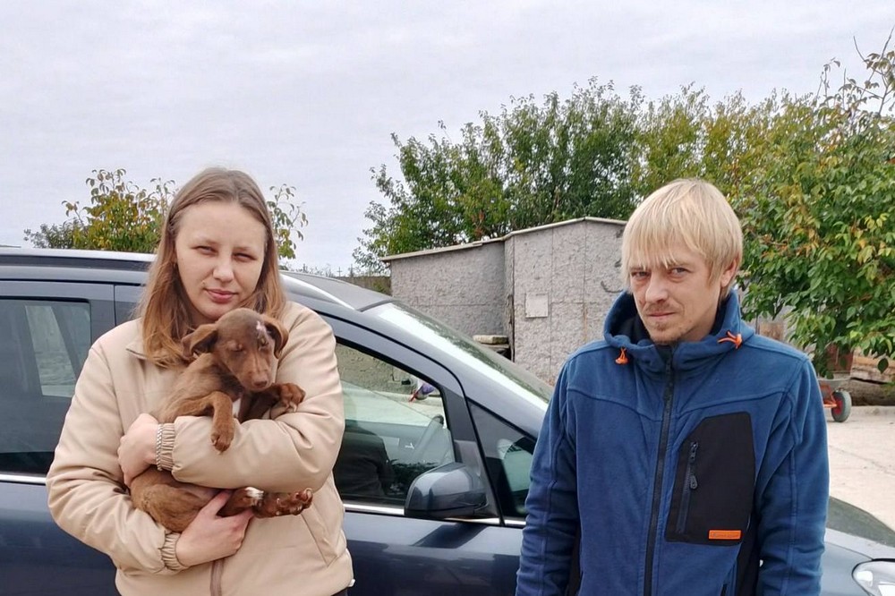 У жовтні 9 собак з Нікополя взяли участь в акції