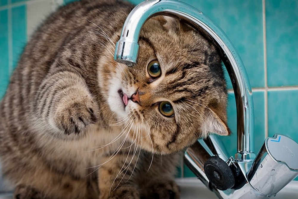 У Нікополі 21 листопада відключили воду в одному з районів