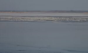 Кліп режисера з Нікополя номінували на найкращий кліп року: потрібна підтримка голосом (відео)