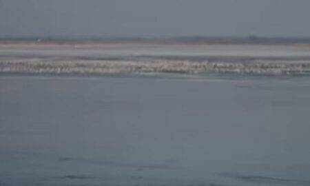 Кліп режисера з Нікополя номінували на найкращий кліп року: потрібна підтримка голосом (відео)