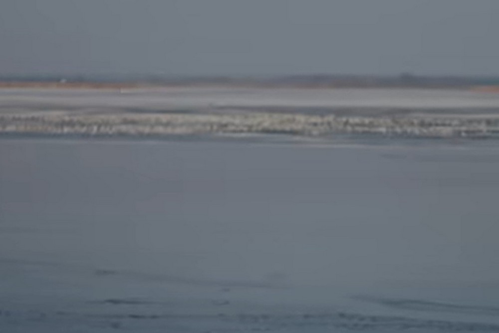 Кліп режисера з Нікополя номінували на найкращий кліп року: потрібна підтримка голосом (відео)