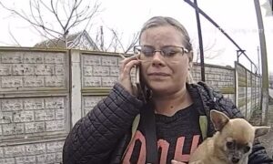 Швидку не вдавалося викликати через відсутність зв’язку: як на Нікопольщині рятували стікаючого кров’ю водія вантажівки після обстрілу (відео)