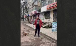 Знущання над котом у Нікополі