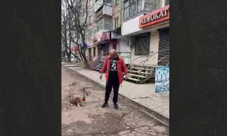 Знущання над котом у Нікополі