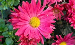 якою буде погода у Нікополі 18 листопада 2