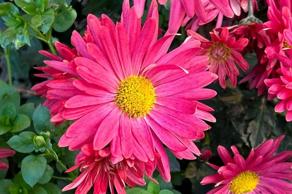 Очікуються пориви західного вітру: якою буде погода у Нікополі 18 листопада 1 якою буде погода у Нікополі 18 листопада 2