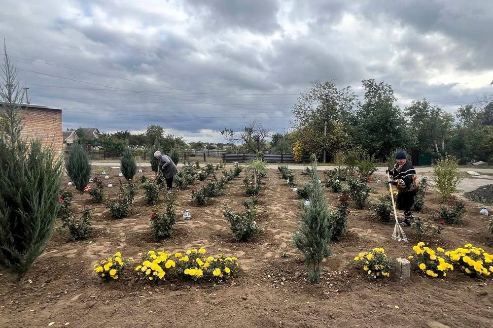 У громаді біля Нікополя висадили 20 кущів троянд: фото