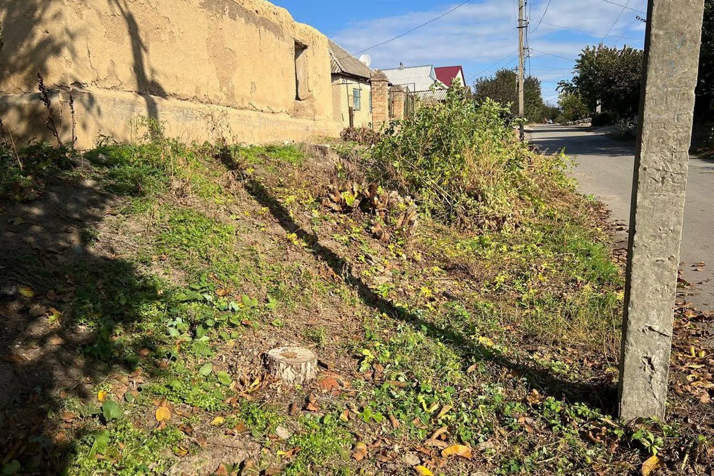 photo 2025 10 30 15 29 26