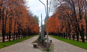 Жовтий рівень небезпечності: погода у Нікополі 29 листопада