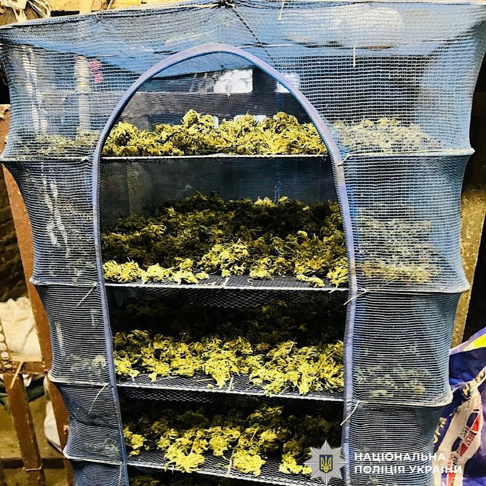 На Нікопольщині вдома у жінки знайшли коноплю