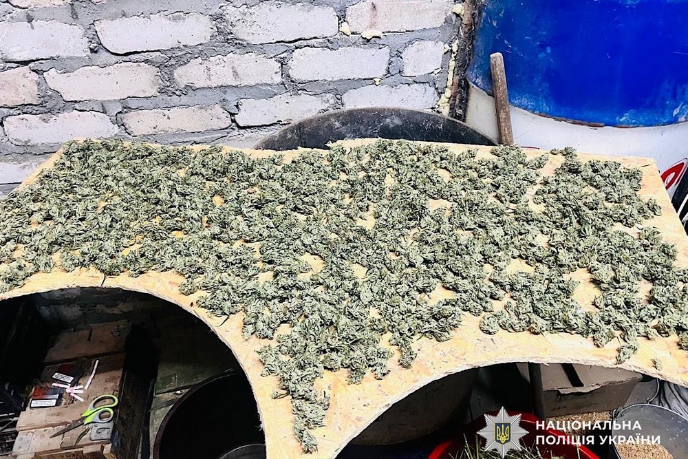 На Нікопольщині вдома у жінки знайшли коноплю