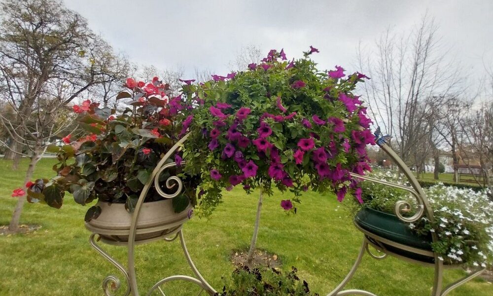 Потепління і вітряно: погода у Нікополі 17 листопада