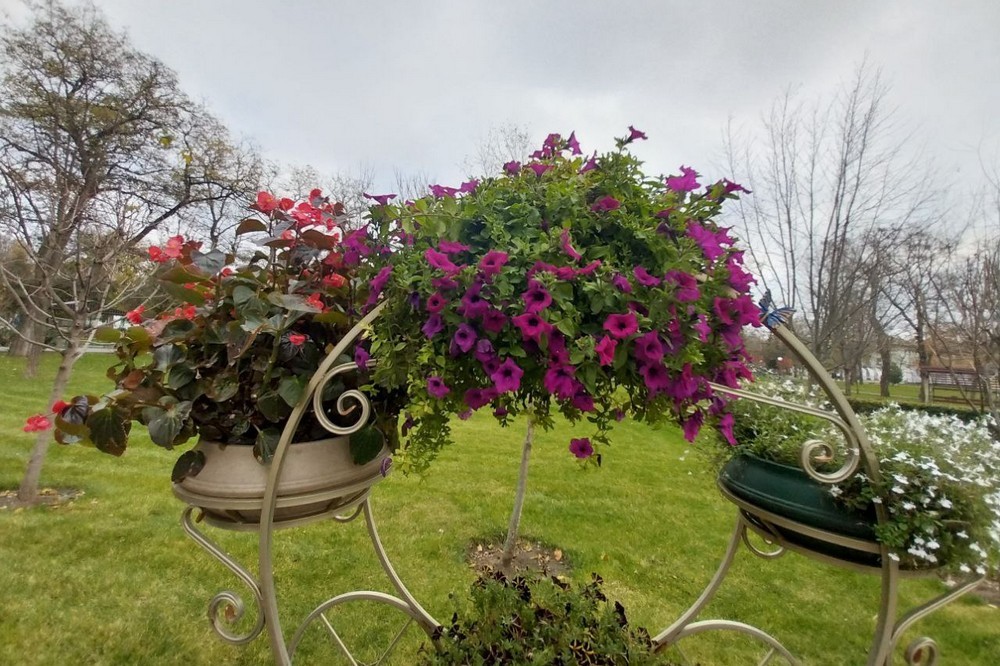 Потепління і вітряно: погода у Нікополі 17 листопада 1 Потепління і вітряно: погода у Нікополі 17 листопада