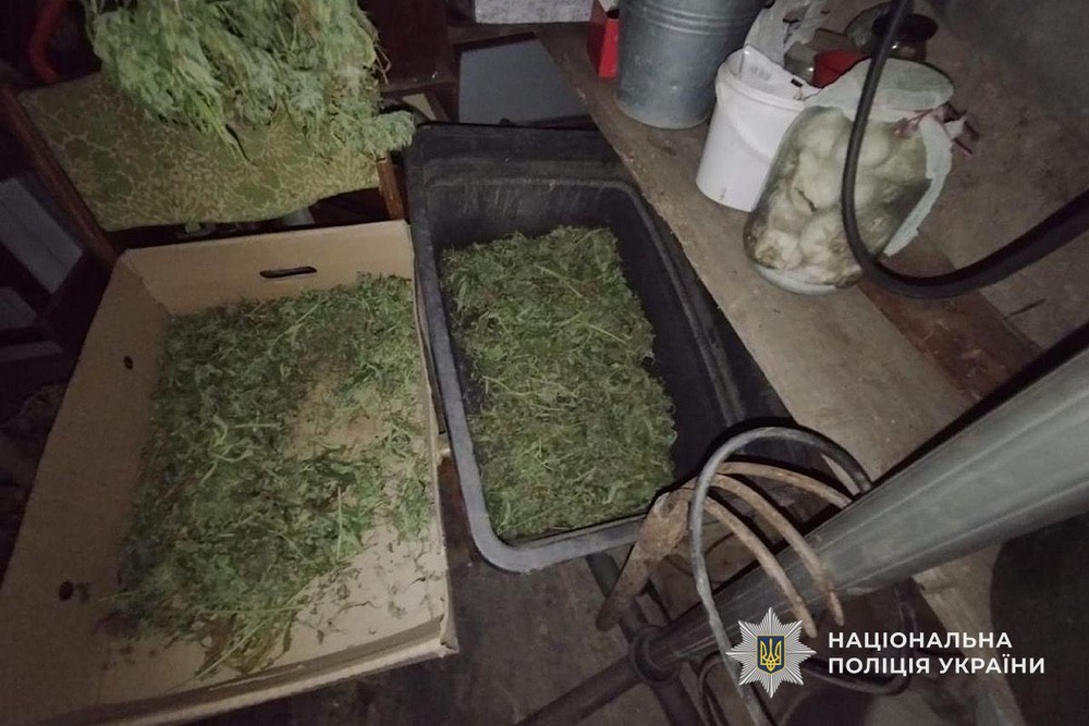 На Нікопольщині викрили жінку: подробиці