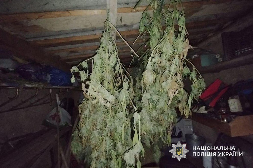 На Нікопольщині викрили жінку: подробиці