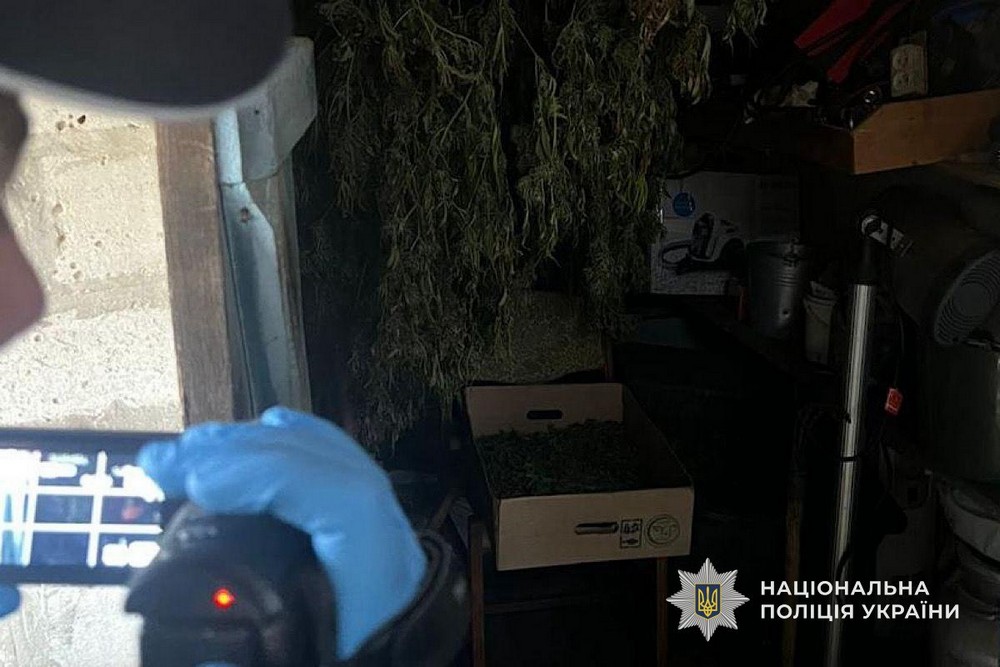 На Нікопольщині викрили жінку: подробиці