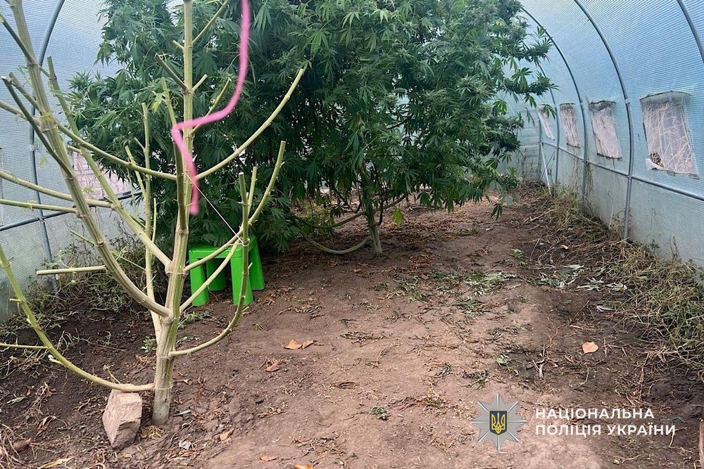 На Нікопольщині викрили жінку: подробиці