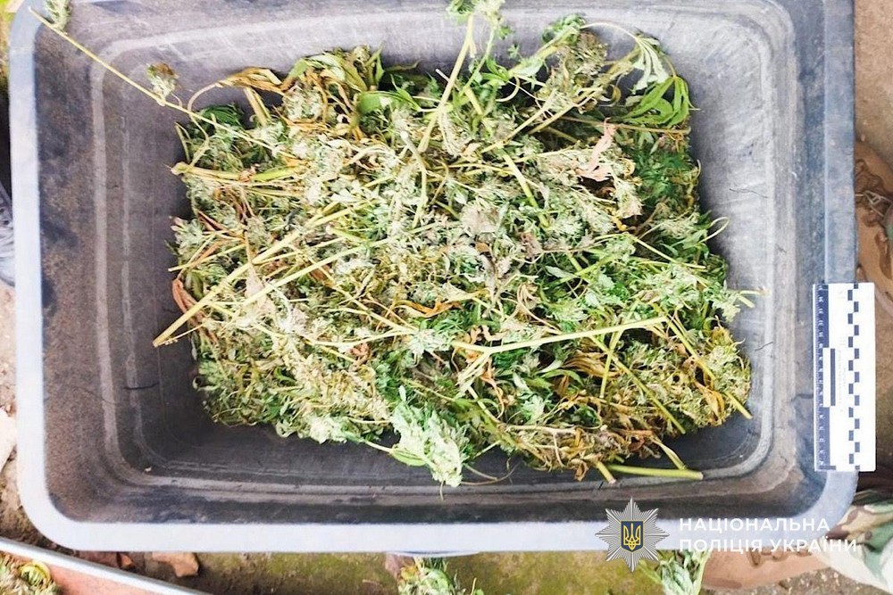 На Нікопольщині викрили жінку: подробиці