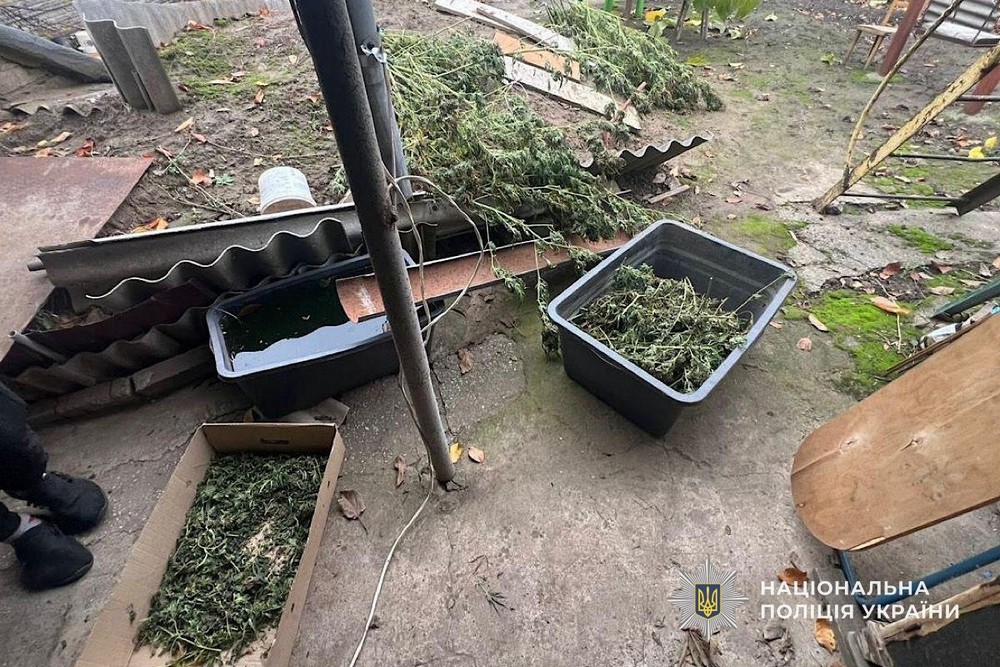 На Нікопольщині викрили жінку: подробиці