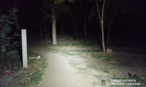 Побив чоловіка у парку Марганця і втік: судитимуть 20-річного молодика