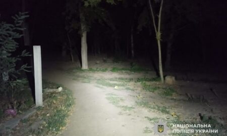 Побив чоловіка у парку Марганця і втік: судитимуть 20-річного молодика