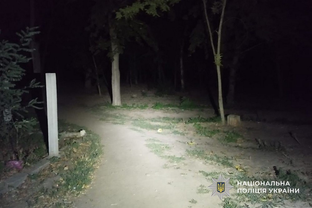 Побив чоловіка у парку Марганця і втік: судитимуть 20-річного молодика