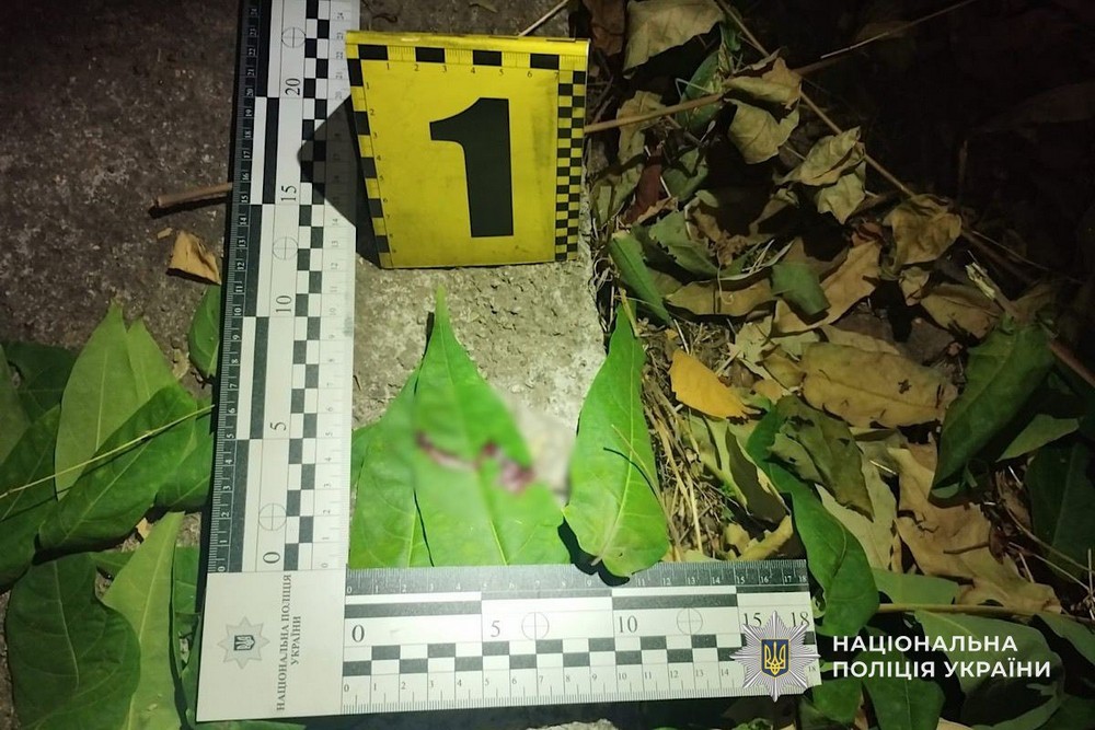 До суду скеровано обвинувальний акт щодо 20-річного молодика, який побив чоловіка у парку Марганця.