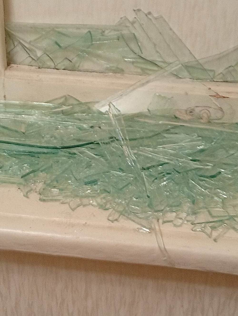 Фото наслідків обстрілів Нікопольщини