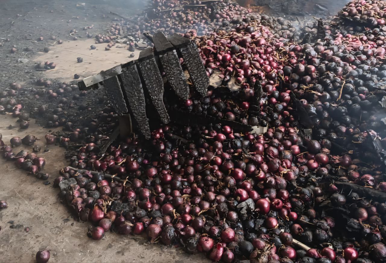 photo 2025 11 21 18 30 41 (3)