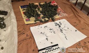 У Марганці чоловік зберігав у паперовій коробці 1,5 кг канабіс