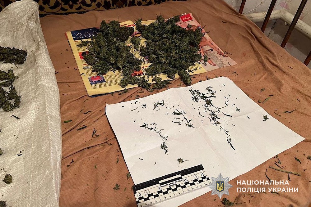 У Марганці чоловік зберігав у паперовій коробці 1,5 кг канабіс