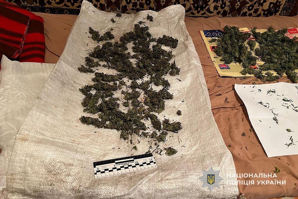 У Марганці чоловік зберігав у паперовій коробці 1,5 кг канабісу (фото, відео)