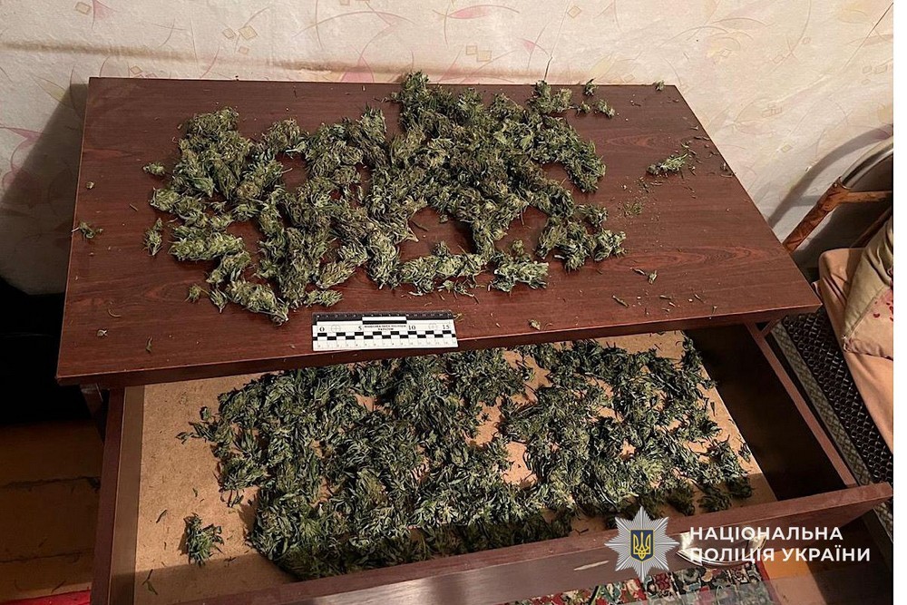 У Марганці чоловік зберігав у паперовій коробці 1,5 кг канабісу (фото, відео)