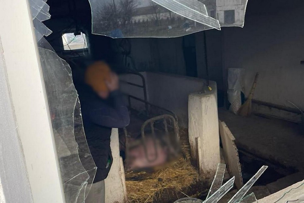 по Нікопольщині