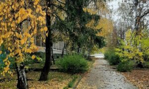 погода у Нікополі 10 листопада