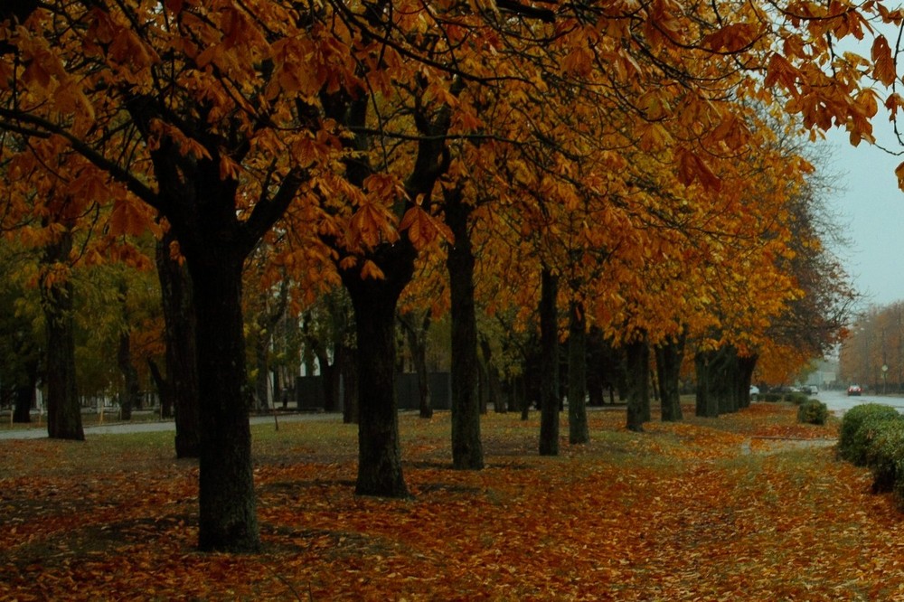 погода у Нікополі 13 листопада