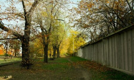 погода у Нікополі 15 листопада