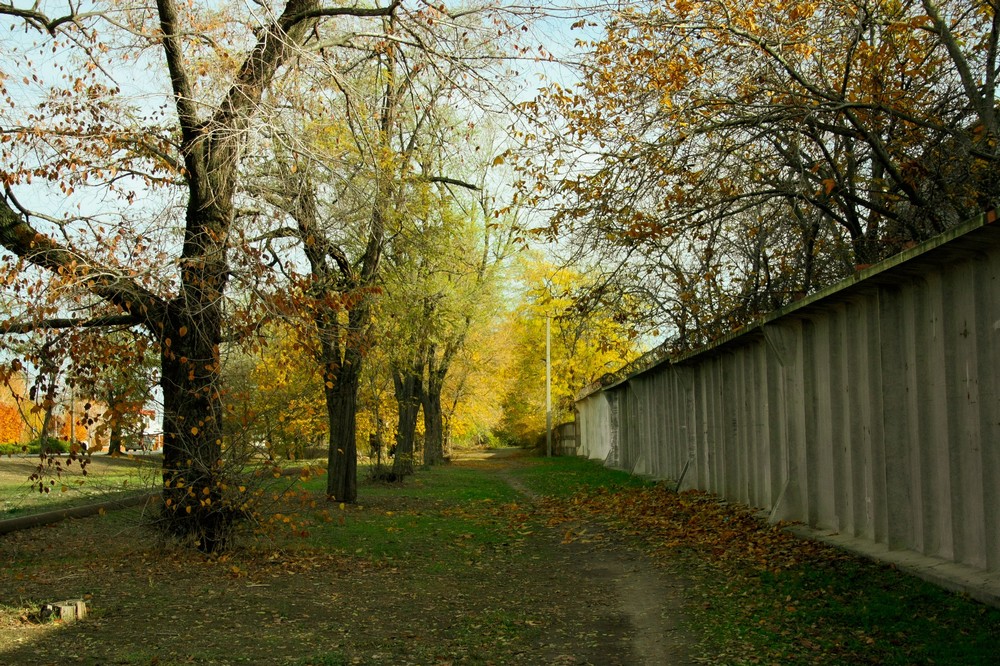 погода у Нікополі 15 листопада