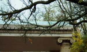 погода у Нікополі 16 листопада