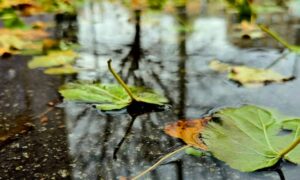 погода у Нікополі 20 листопада