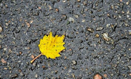 погода у Нікополі 24 листопада