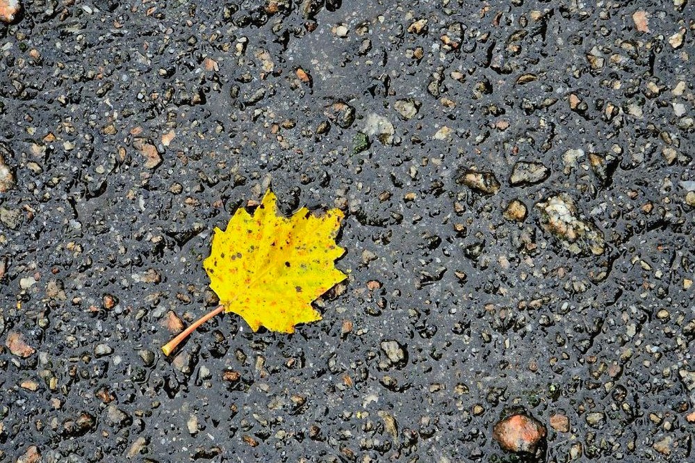 погода у Нікополі 24 листопада