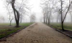 погода у Нікополі 2