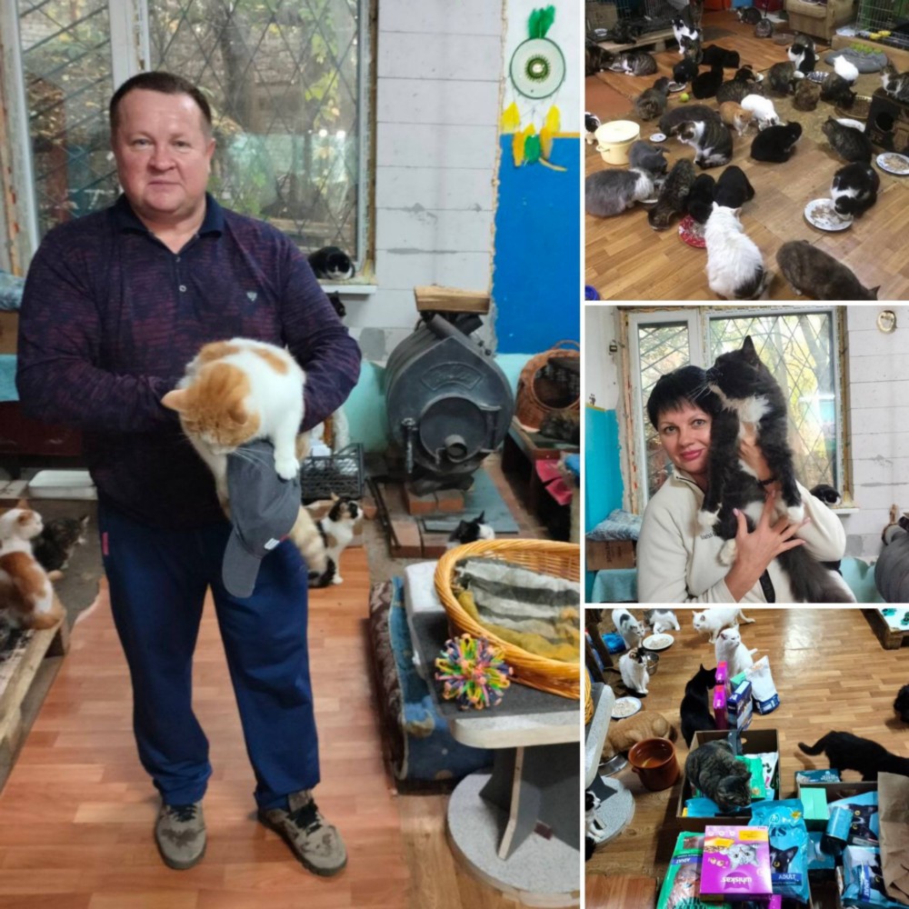 у Нікополі 2