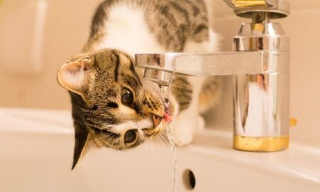 Аварія: у Нікополі 22 грудня відключили воду в одному з районів